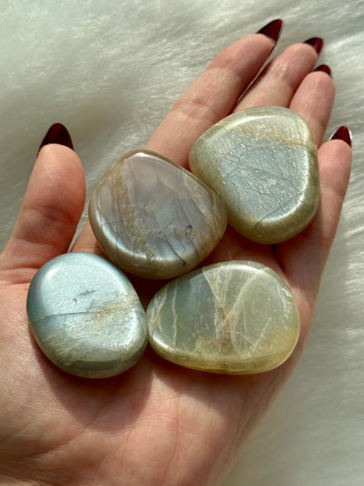 Palmstone in pietra di luna